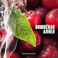 Виктор Могилатов - Вишнёвая Аллея загрузить