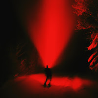 Visioner. - Molly My Bean (Guitar Version) загрузить