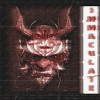 Visxge - Immaculate (Slowed & Reverb) загрузить