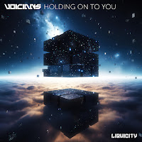 Voicians - Holding On To You загрузить