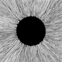 Vola - Straight Lines загрузить