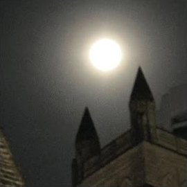 Whatsaheart - Howling загрузить