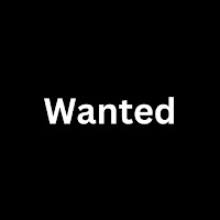 Wicked Turnt - Wanted загрузить