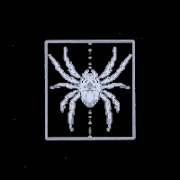 Witchz - The Algorithm загрузить