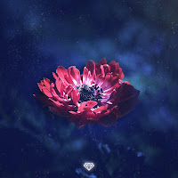 Zach Diamond - Cycle Of Life загрузить