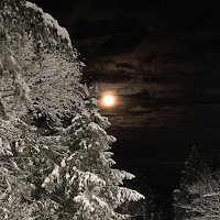 Zvch - Zombie (Feat. 0Kmateo) загрузить