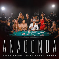 Zvika Brand - Anaconda Ft Intellegent & Nawan загрузить
